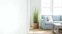 Bright living room interior with light blue sofa, decorative grass plant in woven basket, wooden table, and natural sunlight from windows for home decor design.