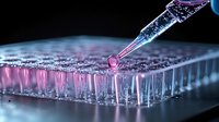 Laboratory pipette dispensing pink liquid sample into multi-well plate for scientific research and medical testing analysis in modern lab setting.