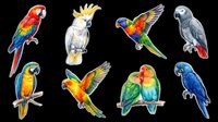 Colorful parrot collection featuring macaws, cockatoos, and lorikeets isolated on transparent background, ready for t-shirt designs, clipart, stickers, and print-on-demand products.