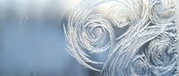 Intricate frost patterns with swirling spirals on glass surface creating natural winter artwork with delicate ice formations and crystalline textures.