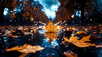 Glowing orange maple leaf floating on dark water surface during autumn rain, with dramatic stormy sky and raindrops creating atmospheric bokeh effect in background.