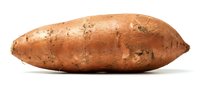 Whole raw sweet potato with brown skin and natural spots isolated on white background for cooking and nutrition content.
