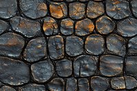 Textured black and copper colored crocodile skin pattern with detailed scales, cracks, and natural weathered appearance showing organic reptilian surface structure.