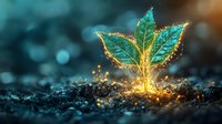 Magical glowing plant sprout emerging from soil with golden light and sparkles against dark background, fantasy nature concept for environmental growth.