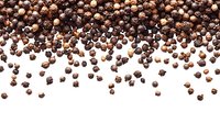 Black peppercorns scattered on white background, creating natural border design. Aromatic whole spices for cooking and seasoning isolated for easy use.