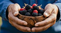 Person holding wooden bowl filled with fresh ripe blackberries and raspberries. Harvested berries in hands for farmers market, organic produce, healthy eating, and food photography.