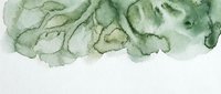 Abstract green watercolor paint flowing across white paper creating organic fluid shapes and textures for artistic backgrounds and creative projects.