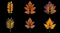 Autumn leaves collection featuring six isolated fall foliage designs in warm orange, brown, and burgundy tones. Transparent background, ready for t-shirts, clipart, stickers, sublimation, and print-on-demand projects.