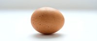Brown chicken egg with speckled shell isolated on white background, suitable for food, nutrition, cooking, and agricultural content.