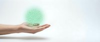 Caucasian hand holding glowing green circuit board sphere representing technology, innovation, and digital transformation for business and sustainability concepts.