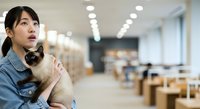 Young East Asian woman holding a Siamese cat in a modern office environment, looking upward thoughtfully while wearing casual denim shirt in bright workplace setting.
