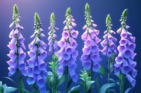 Purple foxglove flowers bloom in vibrant gradient from light pink to deep violet against dark blue background, creating dramatic garden display with tall spiky stems.