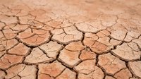 Cracked dry earth surface showing drought conditions with deep fissures in parched soil creating natural polygon patterns for environmental concepts.