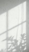 Natural sunlight casting geometric window frame shadows on textured white wall with plant silhouette creating minimalist architectural lighting composition.