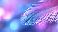 Delicate feather in soft pink and blue tones against blurred bokeh background creates dreamy, ethereal mood. Macro photography highlights intricate texture and details.