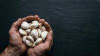 Handful of roasted pistachios in shell held by male hand against dark textured background, suitable for food, nutrition, and healthy snacking content.