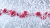 Microscopic view of neural network connections with red synapses and white nerve cells showing brain activity and neurotransmitter communication in nervous system.