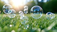 Transparent soap bubbles floating over green grass in sunlight, reflecting summer landscape and trees. Natural bokeh effect creates dreamy atmosphere.