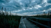 Wooden boardwalk path through wetland marsh under dramatic stormy sky at dusk with tall grass and reeds creating moody atmospheric landscape scene.