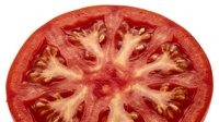 Ripe tomato slice cross-section showing seeds and internal chambers, isolated on white background for culinary, food styling, and recipe design projects.