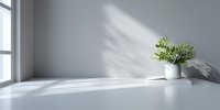 Minimalist white interior with green plant in ceramic pot on empty surface, sunlight casting soft shadows on wall for modern home decor.