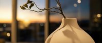 Minimalist ceramic vase with dried branch against warm sunset light creating peaceful home decor atmosphere for interior design and lifestyle concepts.