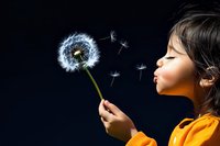 Young Asian girl in yellow sweater blowing dandelion seeds against dark background, creating magical moment as illuminated seeds float in air. Childhood wonder captured.