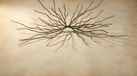 Wooden sticks arranged in radial sunburst pattern casting shadows on textured surface for creative design projects and artistic compositions.