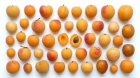 Apricots isolated on white background in various sizes and angles, ready for design use on packaging, culinary content, and food-related projects.