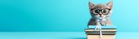 Cute kitten wearing glasses sitting on stack of books against turquoise background. Minimal style composition for education and learning concepts.