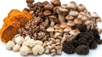Variety of fresh wild mushrooms arranged in groups by type including orange chanterelles, brown shiitake, white button, and black truffles on white background.
