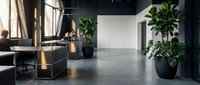 Empty modern office space with polished concrete floors, floor-to-ceiling windows, potted plants, and minimalist furniture for corporate interiors and commercial design projects.