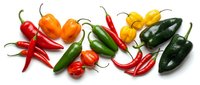 Colorful assortment of fresh hot chili peppers in red, green, orange and yellow varieties arranged on white background for culinary and cooking projects.