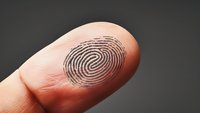 Black fingerprint pattern on fingertip close-up view against dark background, demonstrating biometric identification and security concept for forensic science.