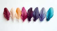 Colorful feathers arranged in gradient row from warm to cool tones on white background, isolated design element for creative projects and decorations.