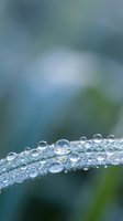 Morning dew drops on green leaf surface with soft bokeh background creating peaceful natural scene for wellness and environmental concepts.