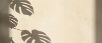 Monstera leaf shadows cast on neutral beige wall, creating natural botanical silhouettes for minimalist interior design and home decor projects.