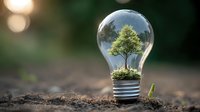 Green tree growing inside light bulb on soil, symbolizing environmental conservation, renewable energy, and sustainable innovation.