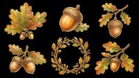 Autumn acorn and oak leaf clipart set, isolated on transparent background. Six fall elements for stickers, t-shirt design, print on demand, and sublimation.