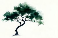 Minimalist watercolor tree silhouette in dark green tones against white background, showing graceful curved trunk and asymmetrical foliage crown. Isolated artwork for design use.