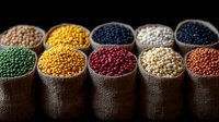 Colorful assortment of dried legumes and grains in burlap sacks arranged in row, including lentils, peas, and beans on dark background. Food ingredients concept.