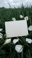 Blank white card surrounded by delicate flower petals on green grass field for romantic messages, wedding invitations, or spring greeting cards.