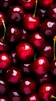 Fresh ripe red cherries with stems close up macro shot showing glossy surface and natural shine. For food industry, packaging design and healthy eating concepts.