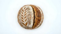Artisan sourdough bread loaf with decorative wheat pattern scoring on rustic crust, freshly baked homemade bakery style round bread isolated on white background.