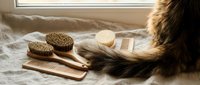 Grooming tools and natural bristle brushes arranged on soft fabric near window light, suitable for beauty, wellness, and personal care product marketing.
