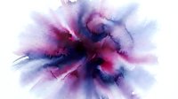 Abstract watercolor explosion in purple and pink hues with flowing paint textures on white background for creative design projects and artistic compositions.