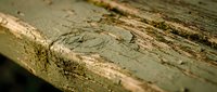 Weathered wooden surface with peeling paint and natural decay, showing aged texture and worn finish suitable for backgrounds and design projects.