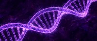 Glowing purple DNA helix structure with neon lines on dark background, suitable for science, genetics, biotechnology, and medical research presentations.