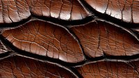 Detailed macro view of brown leather texture with deep cracks and natural pattern. Genuine animal skin surface showing aged patina and organic lines.