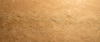 Warm golden sand texture with natural ripple patterns and soft lighting creating depth and movement for backgrounds and design projects.